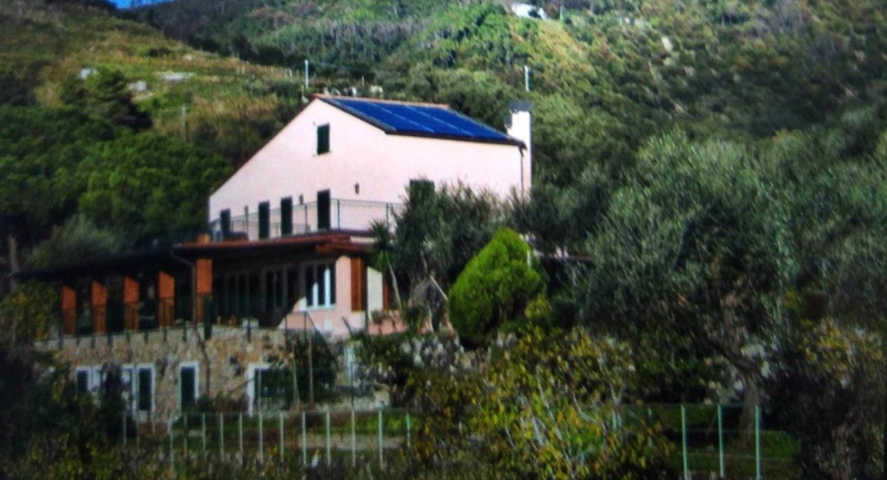 La Cabana Cinque Terre Monterosso Монтеросо ал Маре Екстериор снимка