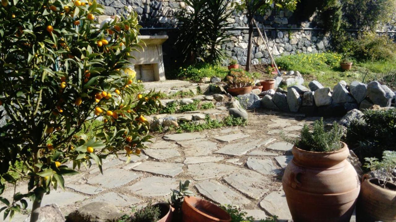 La Cabana Cinque Terre Monterosso Монтеросо ал Маре Екстериор снимка