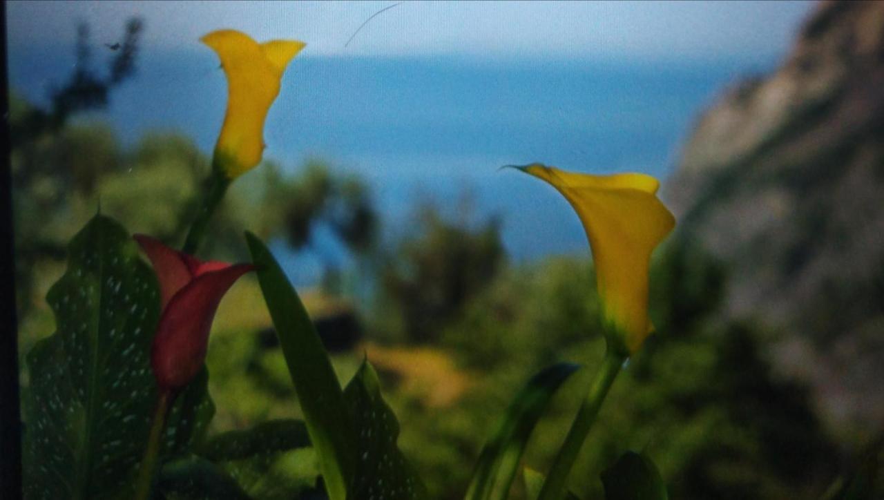 La Cabana Cinque Terre Monterosso Монтеросо ал Маре Екстериор снимка